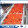 tomato processing plant/machine